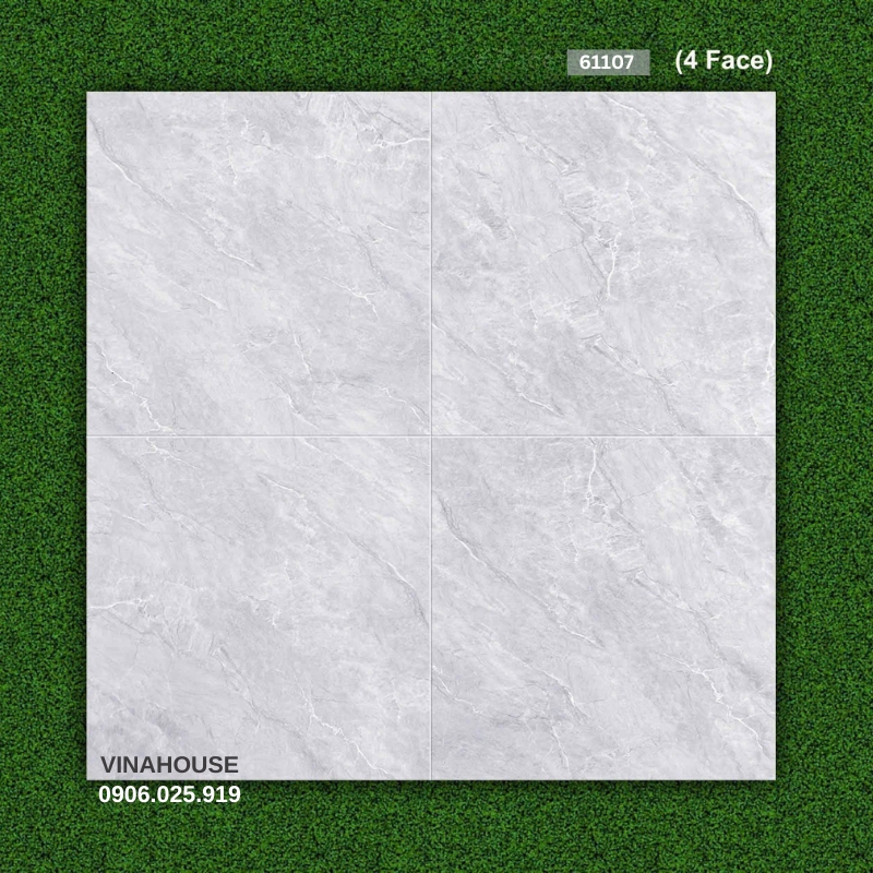 Gạch 60×60 đá bóng kính 61107