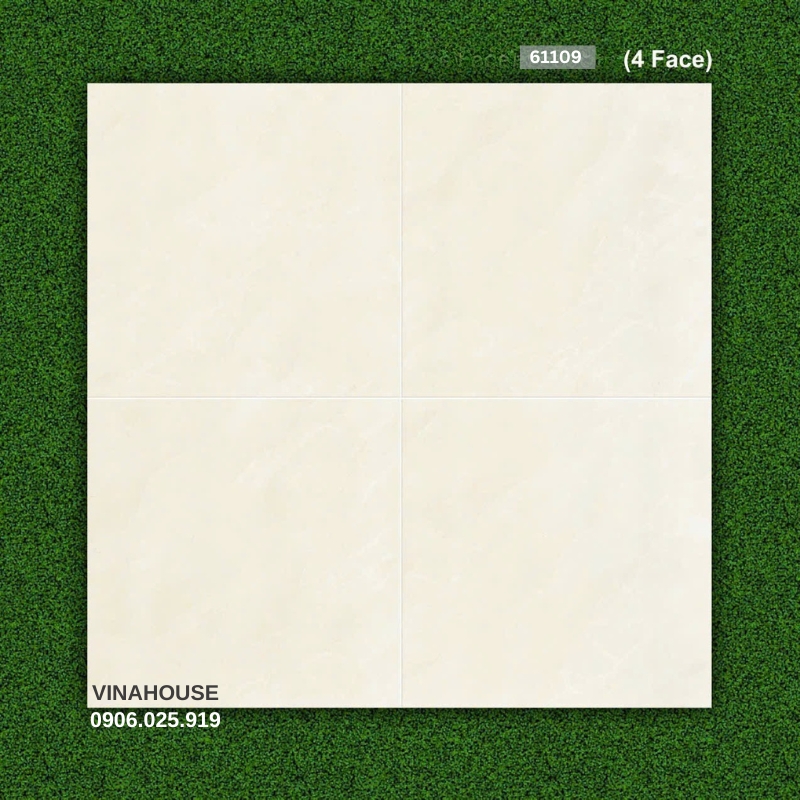Gạch 60×60 đá bóng kính 61109