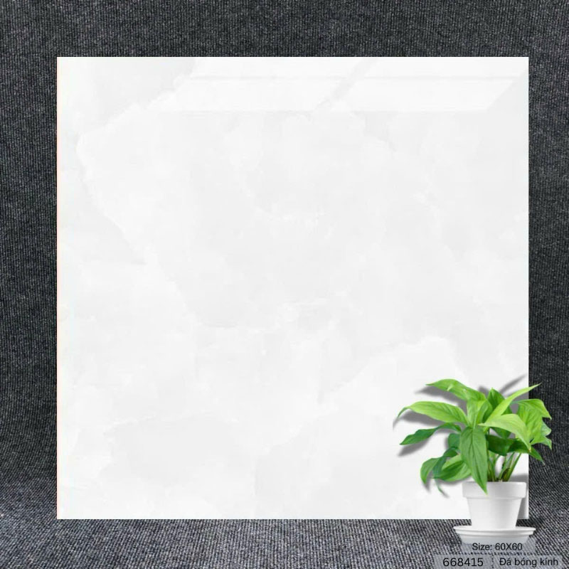Gạch 60×60 màu trắng 668415