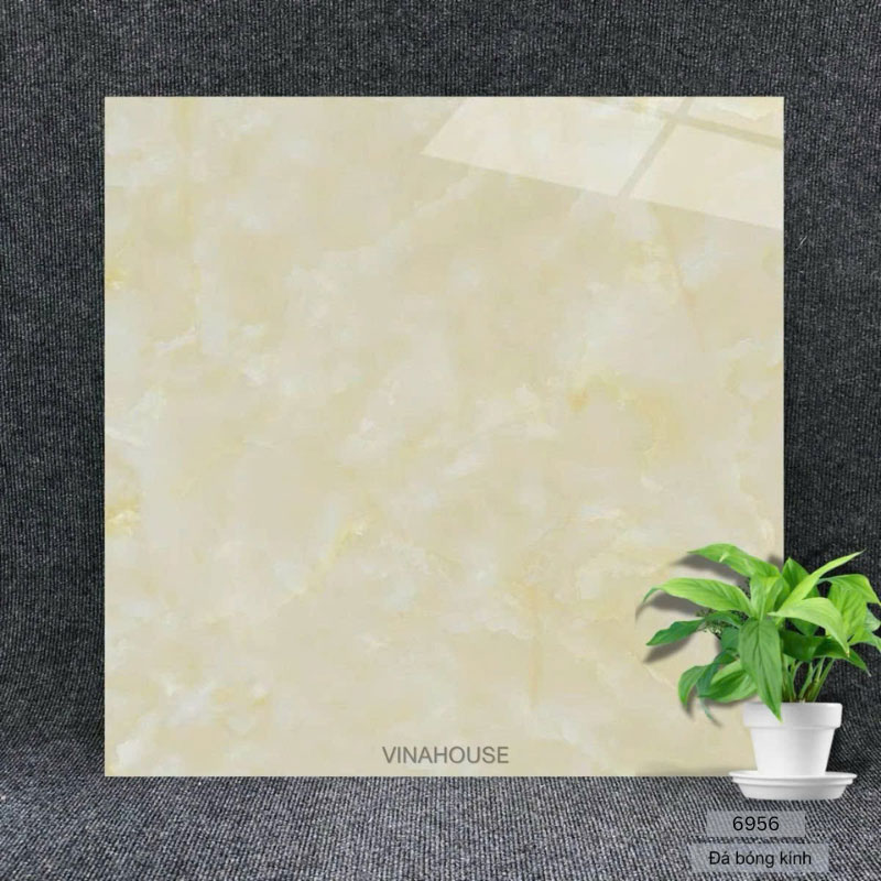Gạch 60×60 bóng kính 6956