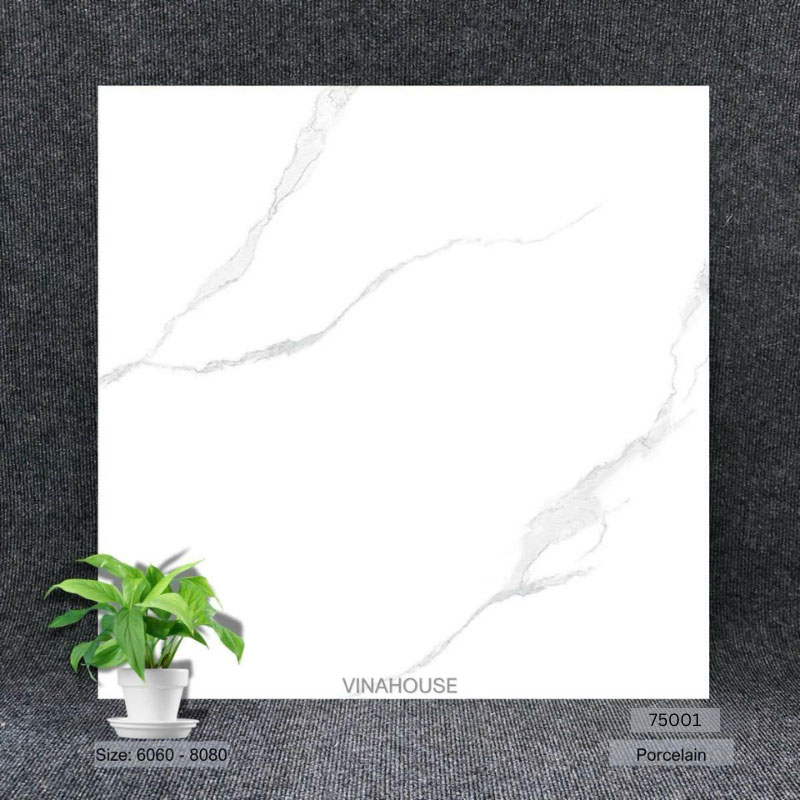 Gạch 60×60 trắng bóng kính 75001