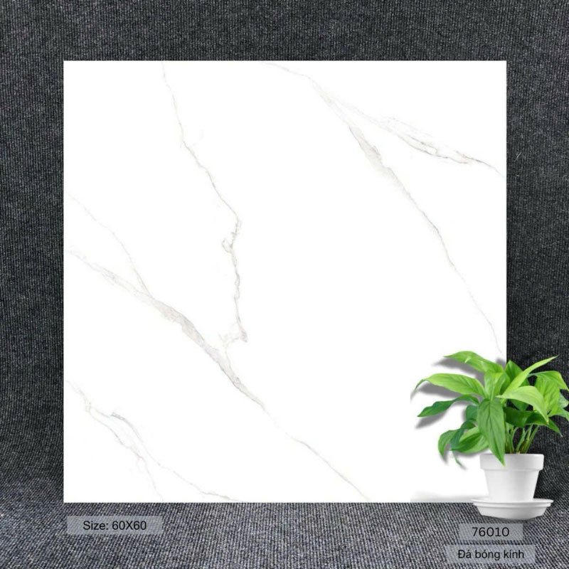 Gạch 60×60 trắng bóng kính 76010