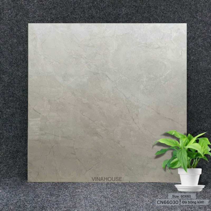 Gạch 60×60 xám vân đá CN66030