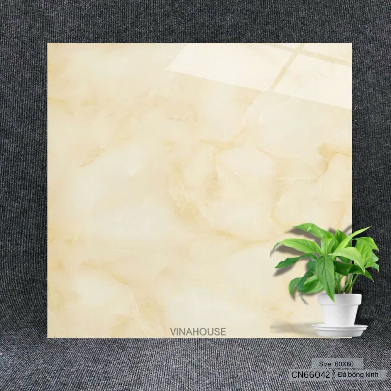 Gạch 60×60 vân vàng CN66042