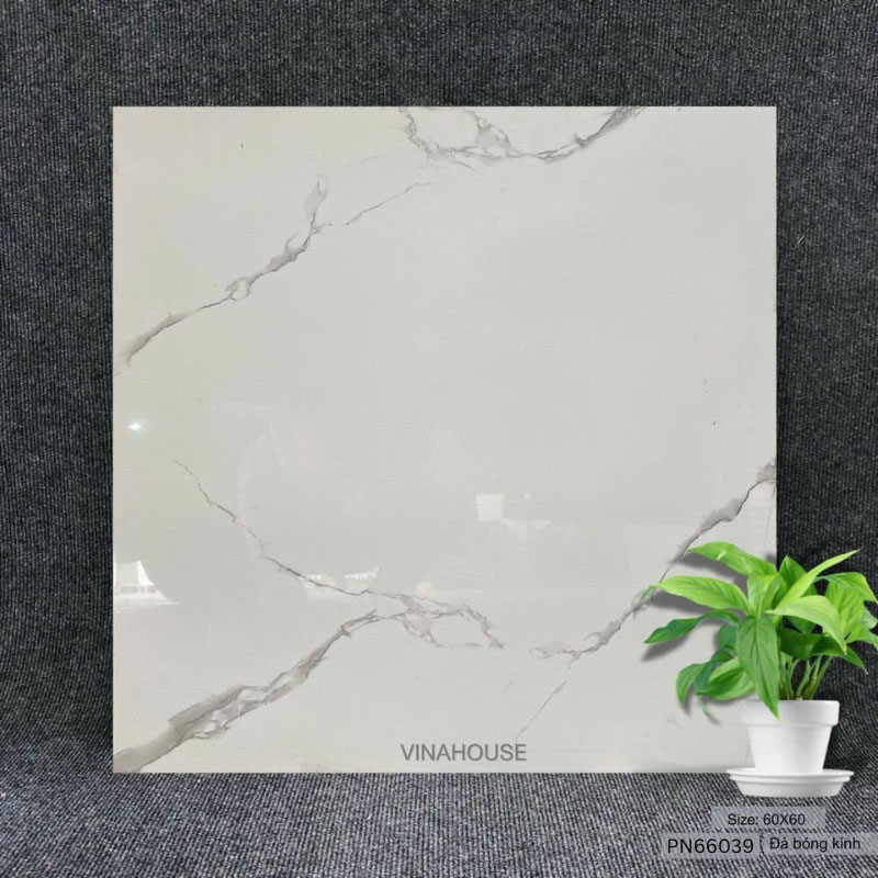 Gạch lát nền 60×60 trắng bóng PN66039