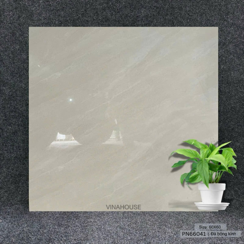 Gạch 60×60 xám bóng PN66041