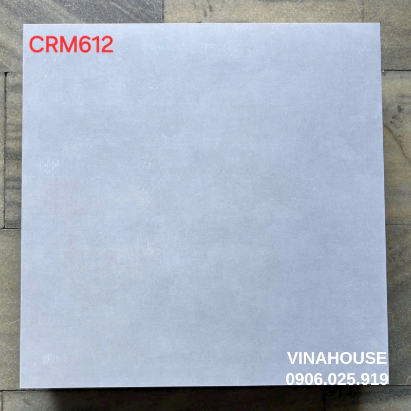 Gạch 60×60 men mờ CRM612