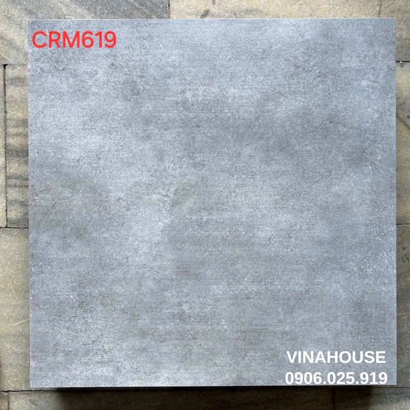 Gạch 60×60 men mờ CRM619