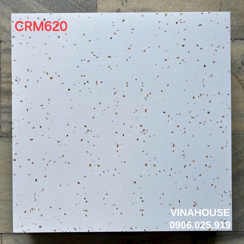 Gạch 60×60 men mờ CRM620