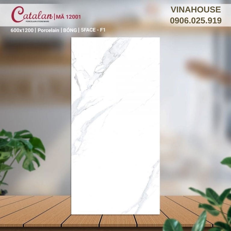 Gạch Catalan 60×120 trắng vân mây 12001