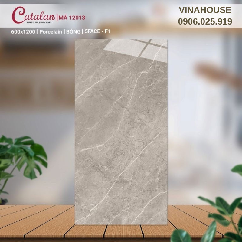 Gạch Catalan 60×120 nâu vân đá 12013