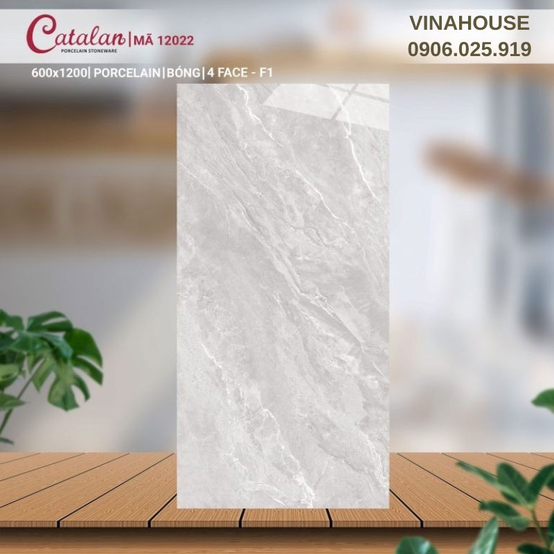 Gạch Catalan 60×120 xám bóng 12022
