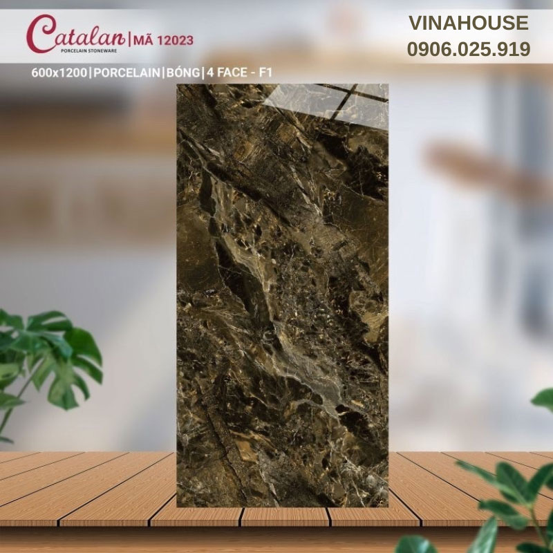 Gạch Catalan 60×120 vân đá nâu 12023