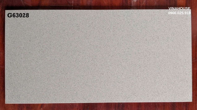 Gạch ốp lát Taicera 30×60 G63028