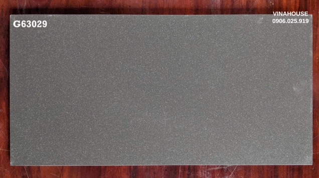 Gạch Taicera 30×60 G63029