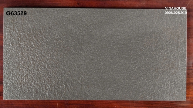 Gạch ốp lát Taicera 30×60 G63529
