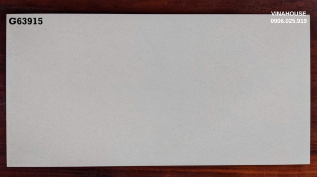 Gạch Taicera 30×60 Vân Xám G63915