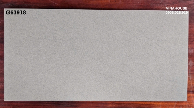 Gạch ốp lát Taicera 30×60 G63918