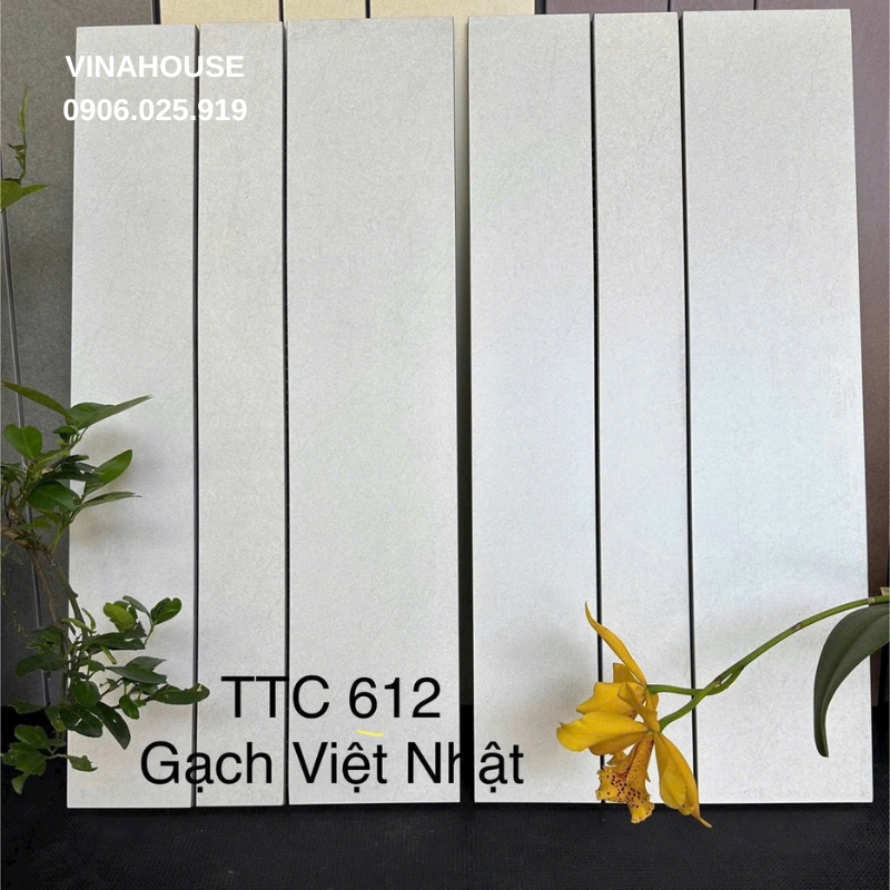 Gạch trang trí Việt Nhật TTC 612