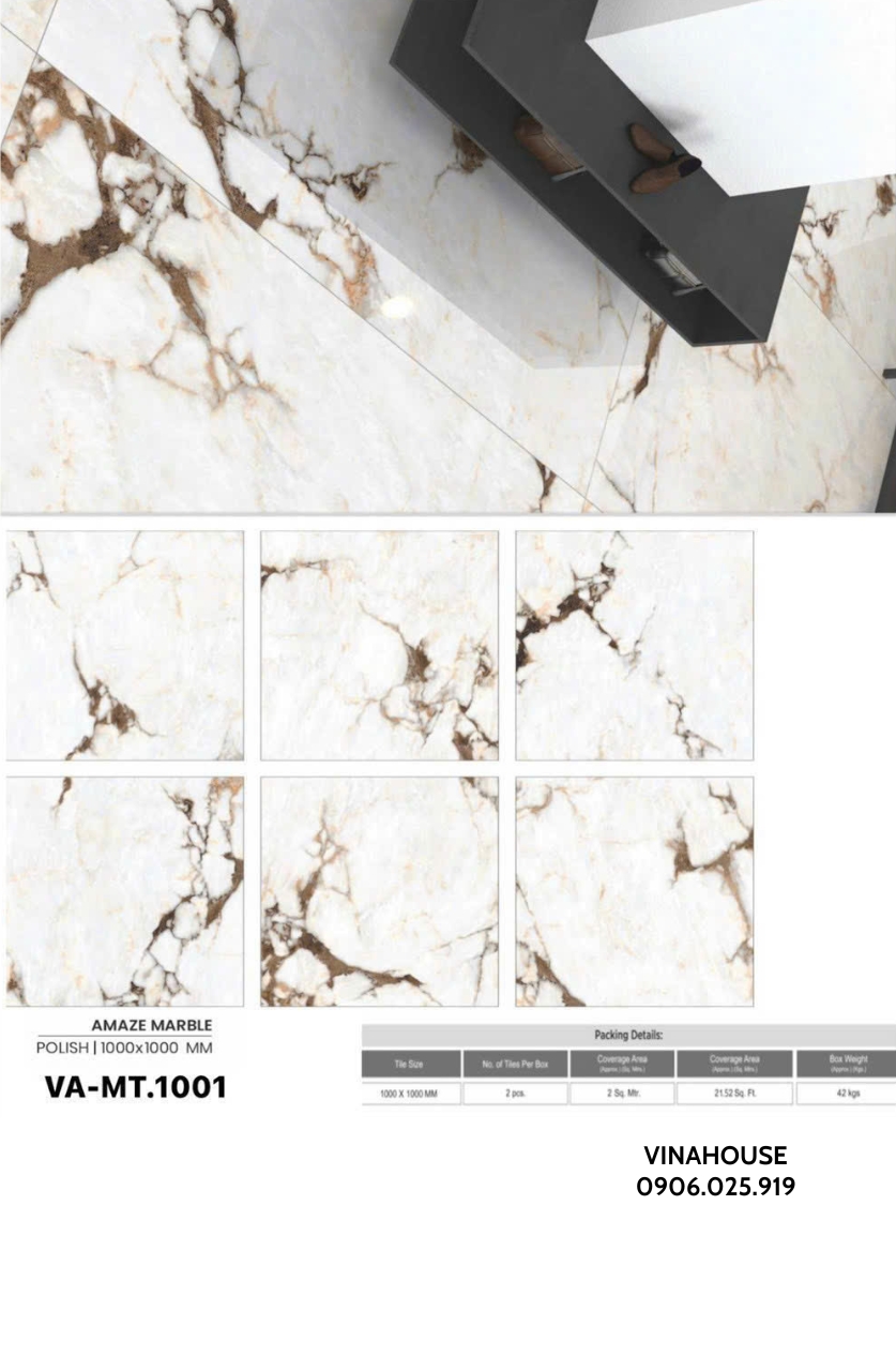 Gạch lát nền 100×100 VAMT1001