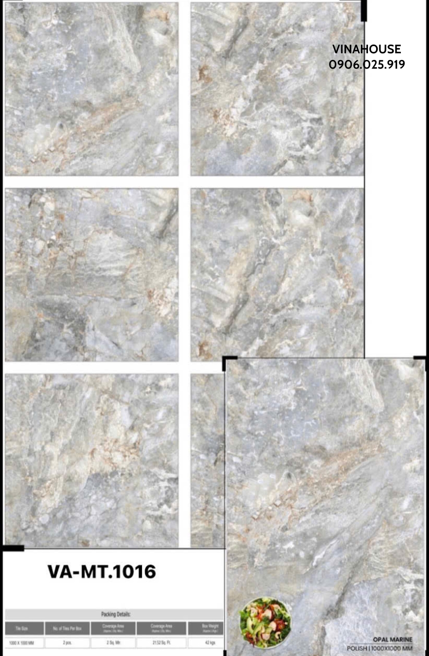 Gạch lát nền 100×100 VAMT1016