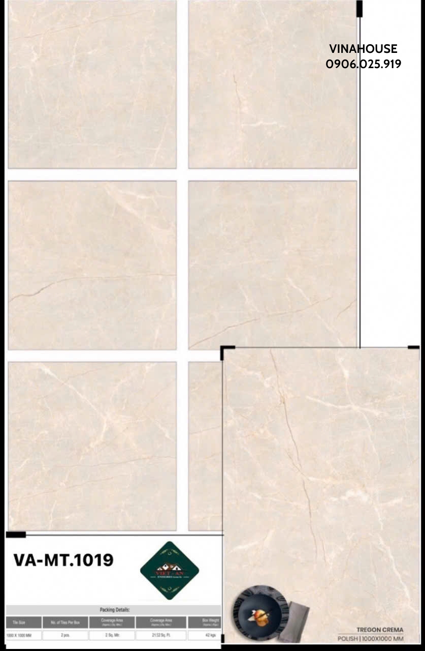 Gạch lát nền 100×100 VAMT1019