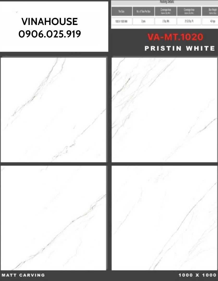 Gạch lát nền 100×100 VAMT1020