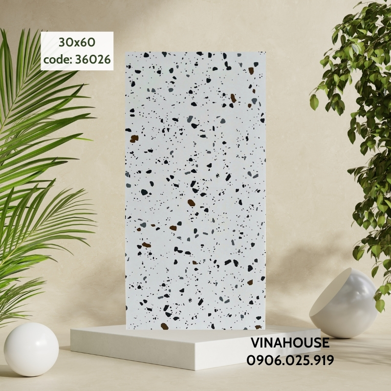 Gạch lát nền 30×60 Terrazzo 36026