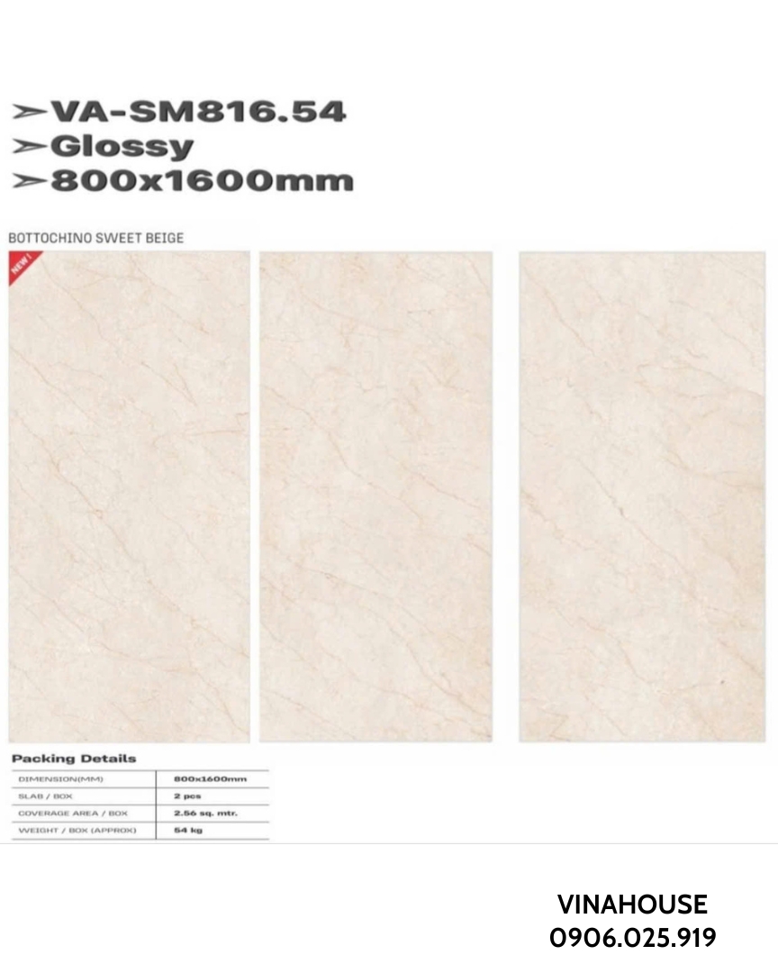 Gạch lát nền 80×160 bóng VASM81654