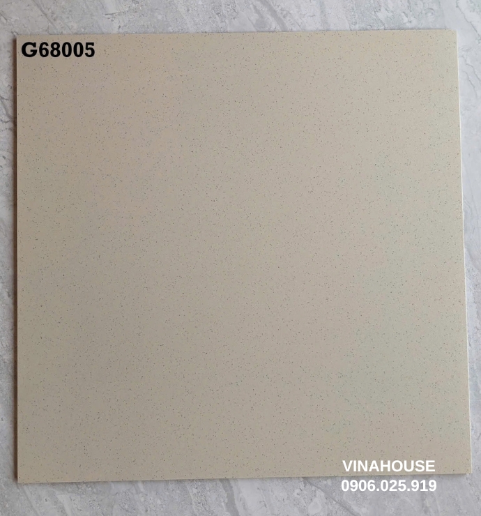 Gạch Taicera 60×60 chấm hạt G68005