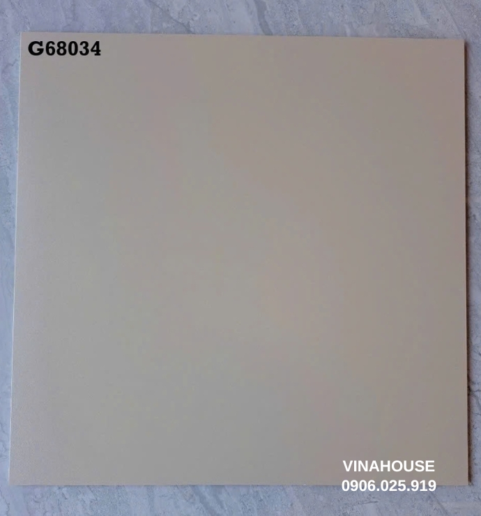 Gạch lát nền Taicera 60×60 G68034