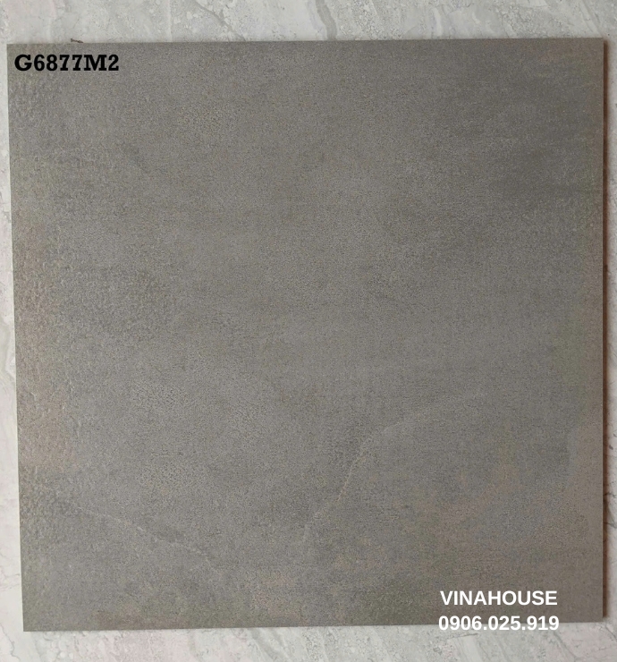Gạch lát nền Taicera 60×60 G6877M2