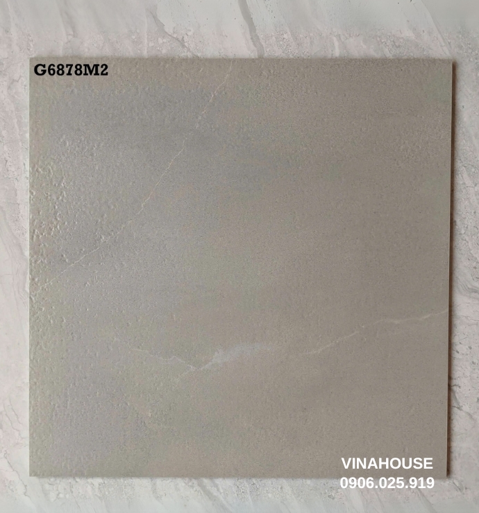 Gạch Taicera 60×60 vân xám G6878M2