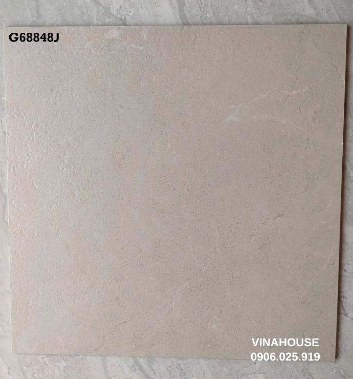 Gạch lát nền Taicera 60×60 G68848J