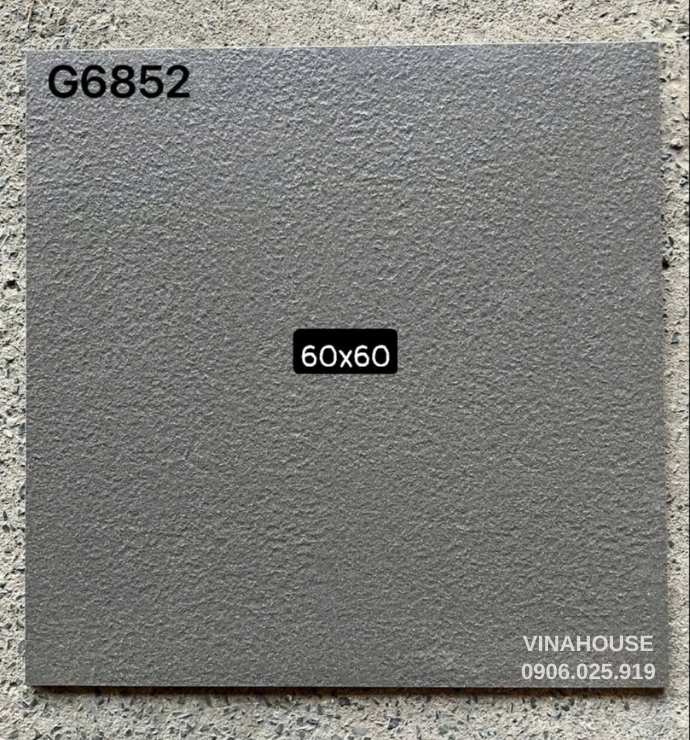 Gạch lát nền Taicera 60×60 GS6852