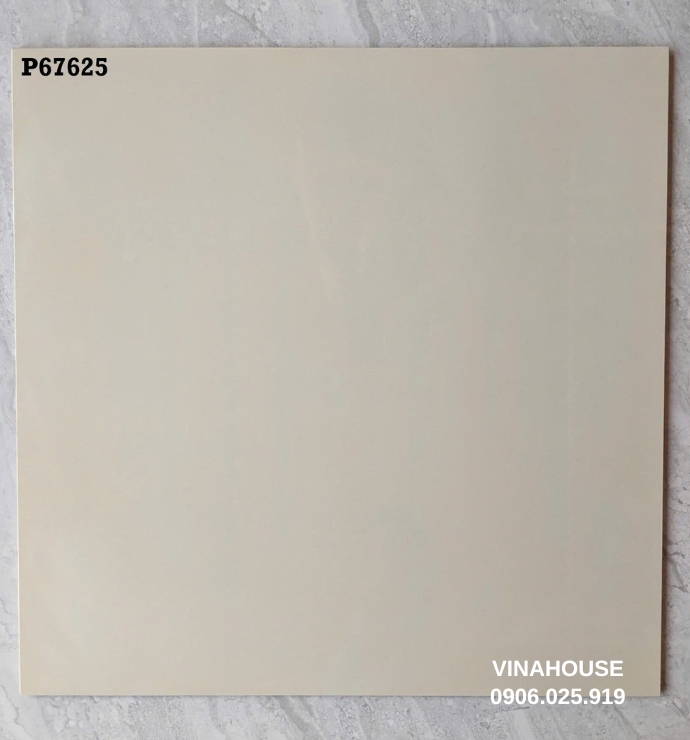 Gạch lát nền Taicera 60×60 P67625