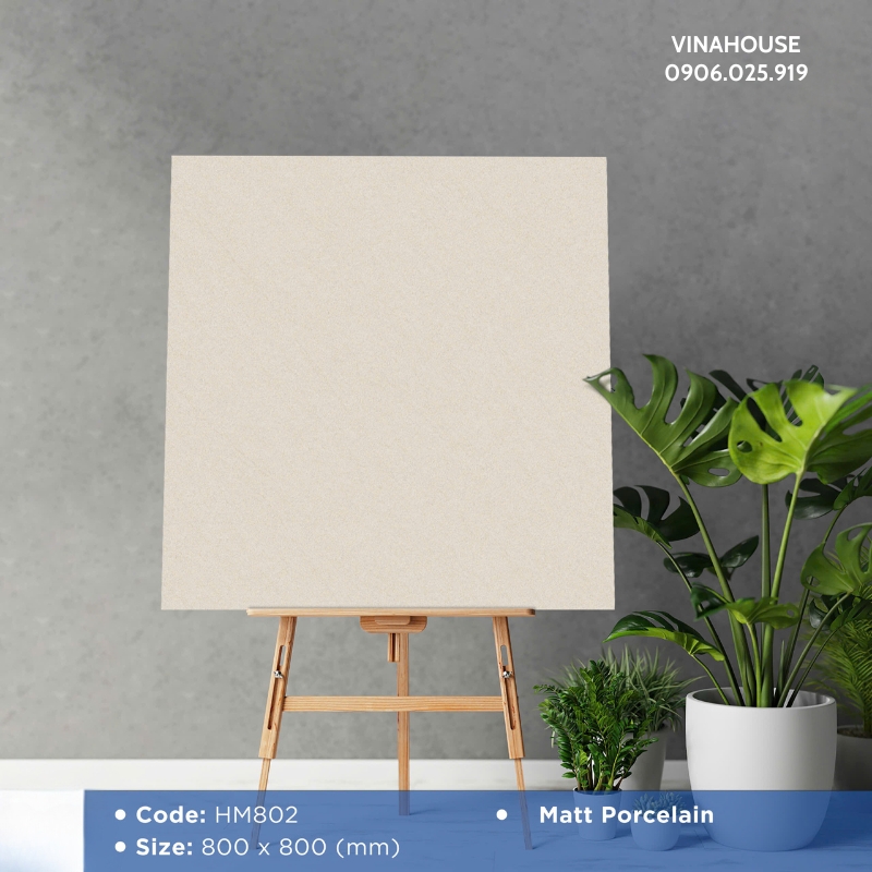 Gạch Lát Nền Viglacera 80×80 HM802
