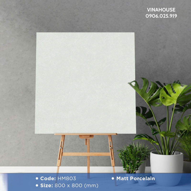 Gạch Lát Nền Viglacera 80×80 HM803