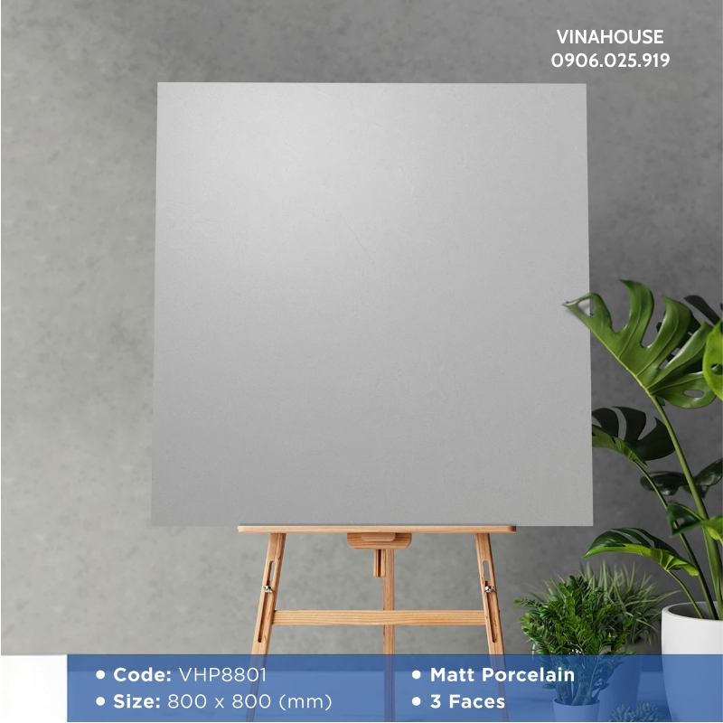 Gạch Lát Nền Viglacera 80×80 VHP8801