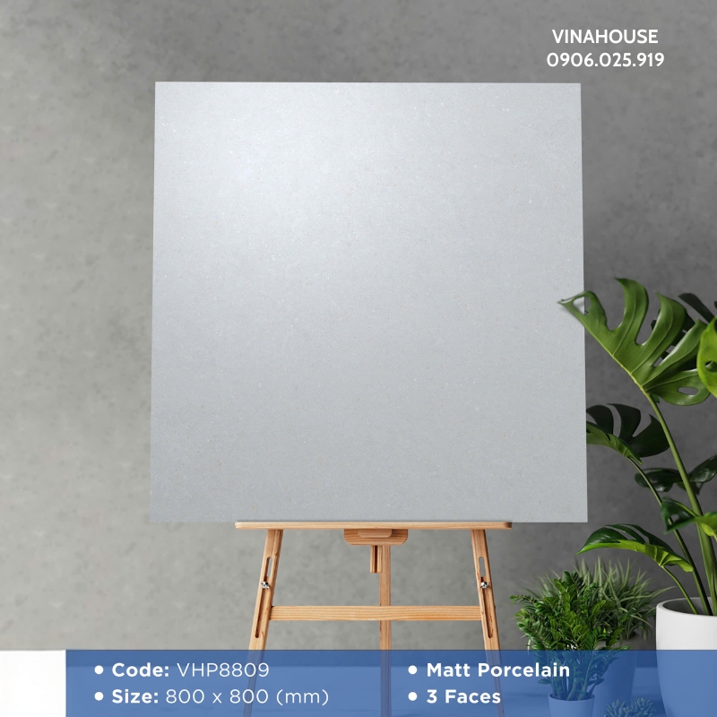 Gạch Lát Nền Viglacera 80×80 VHP8809