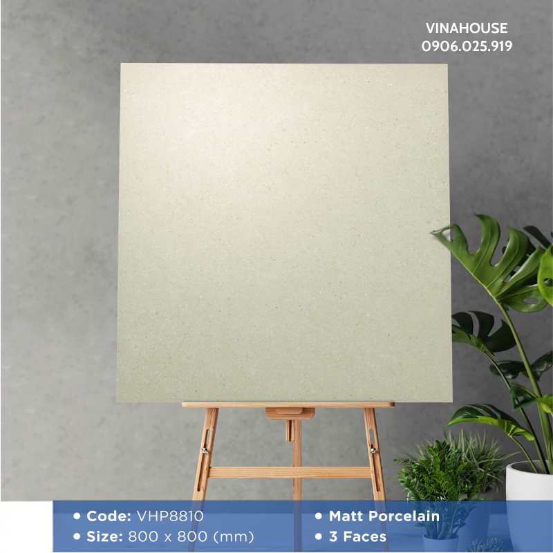 Gạch Lát Nền Viglacera 80×80 VHP8810