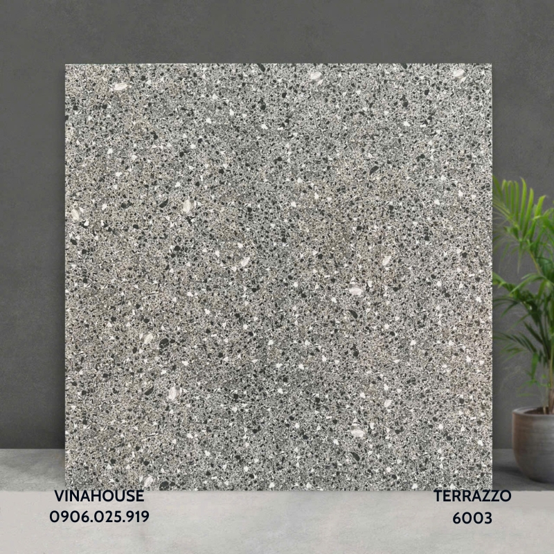 Gạch Lát Nền Terrazzo 6003