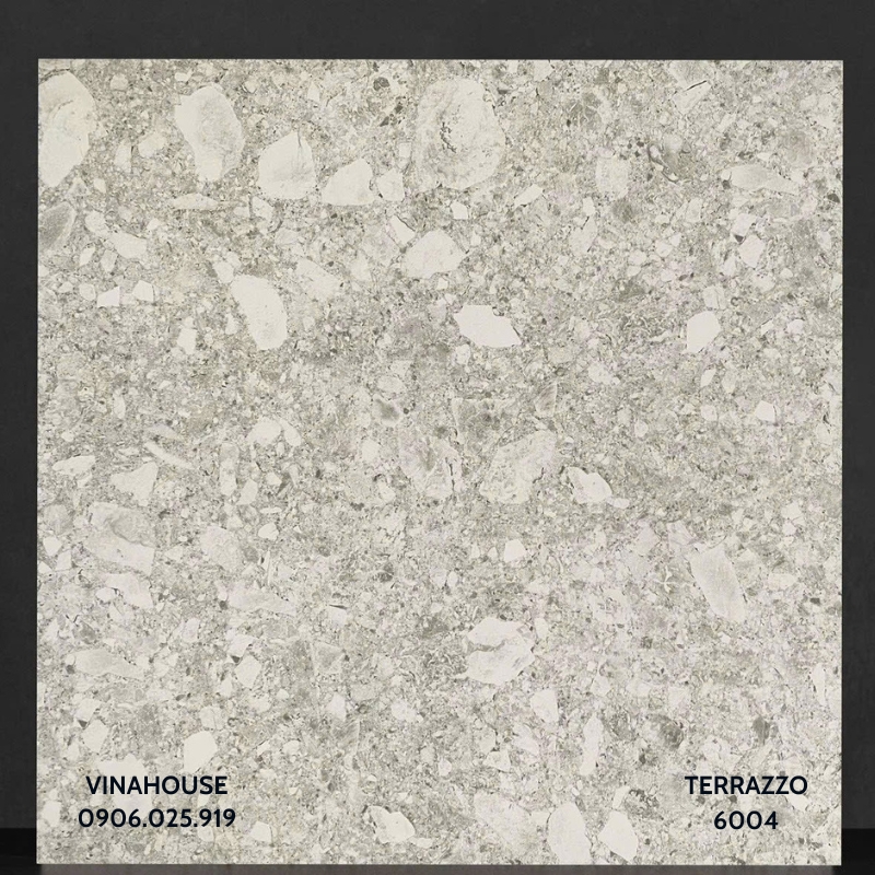 Gạch Lát Nền Terrazzo 6004