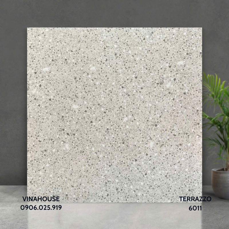 Gạch Lát Nền Terrazzo 6011