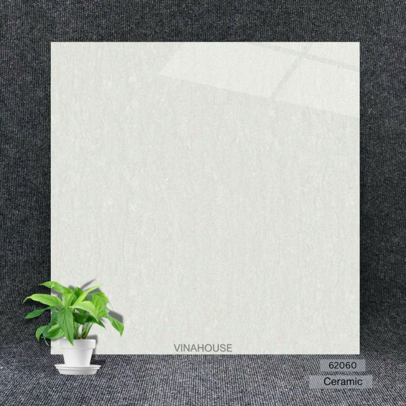 Gạch 60×60 đá bóng kính 62060