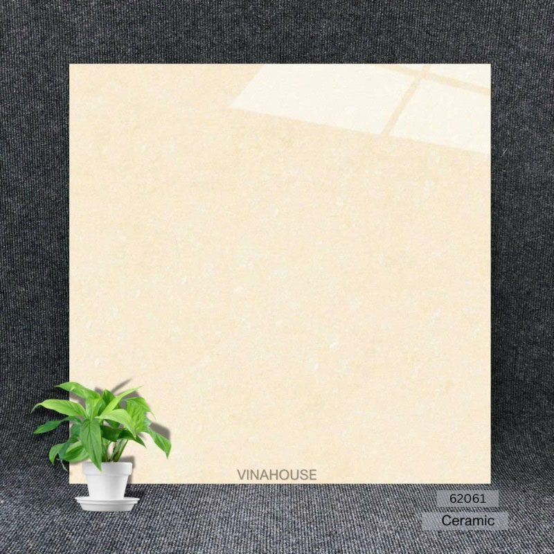 Gạch 60×60 đá bóng kính 62061