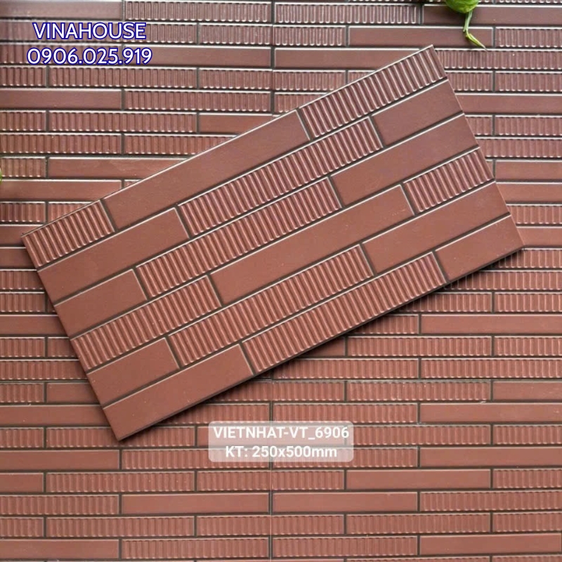 Gạch thẻ trang trí Việt Nhật 25×50 VT_6906