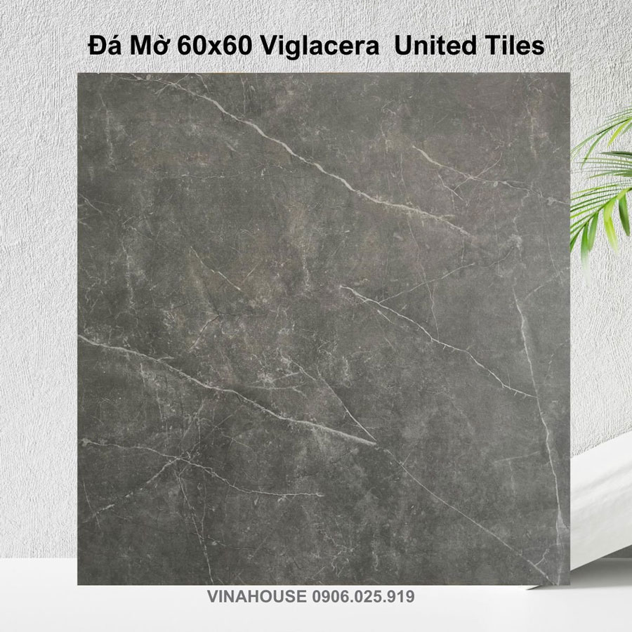 Đá mờ 60×60 Viglacera GM6601