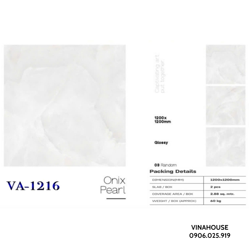 Gạch lát nền 1m2x1m2 VA1216