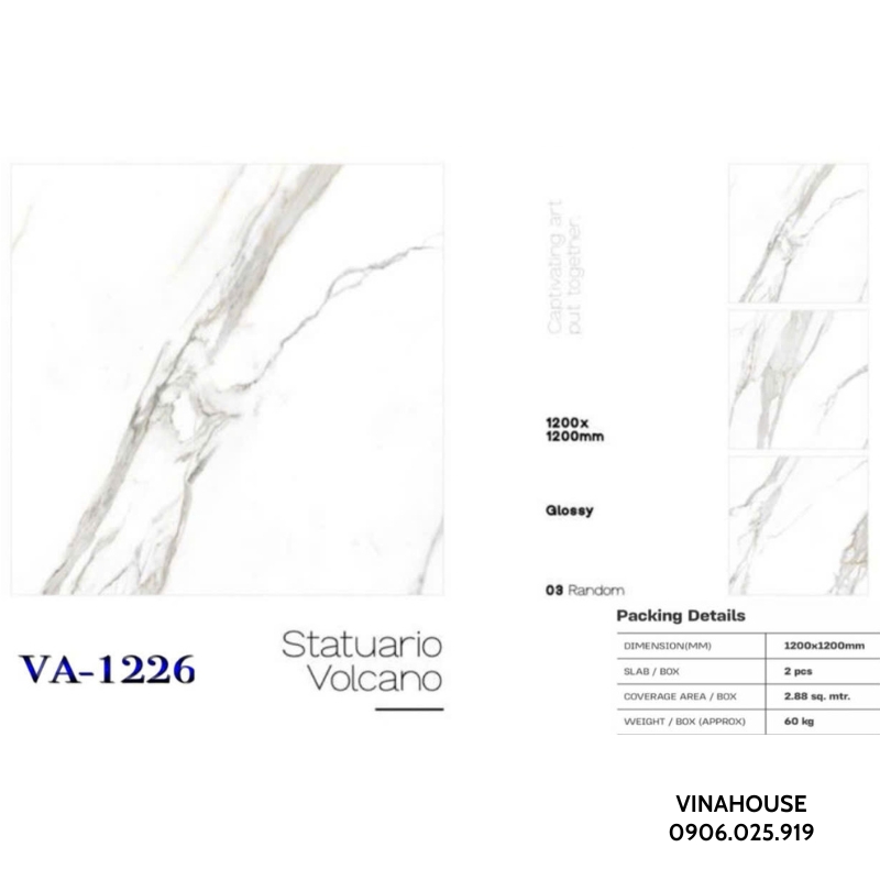 Gạch lát nền 1m2x1m2 VA1226